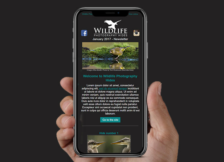 Wildlife Hides HTML Email | Stamford Email Design | BJ Creative