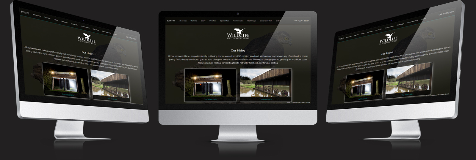Stamford Web Design - Wildlife Photo Hides