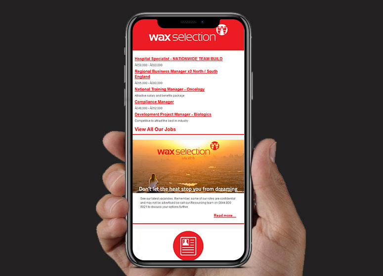 BJ Creative Stamford Email Design | Design Agency Wax Selection Email | Stamford Email Design | BJ Creative