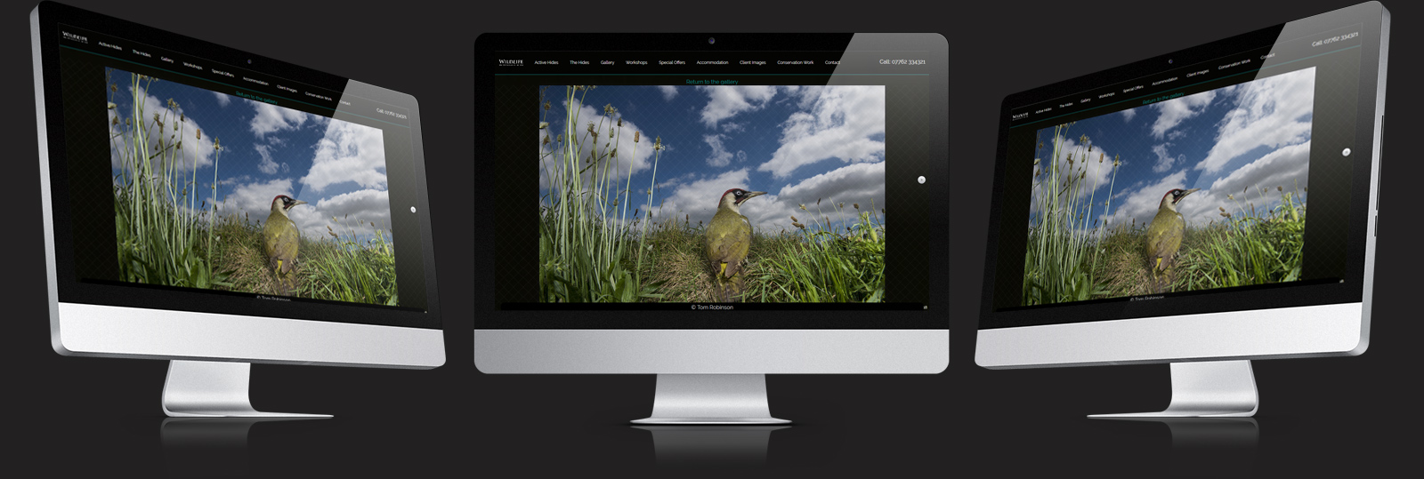 Stamford Web Design - Wildlife Photo Hides